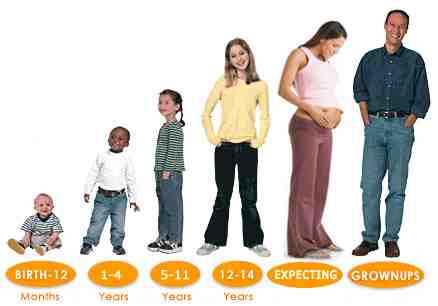 У детей по сравнению со взрослыми. Дети по росту. Рост взрослого. Рост ребенка. Сравнение взрослых и детей.